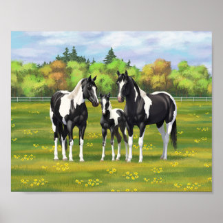Poster Cavalos Quarto de Milha Pintos Pretos em Pastagem 