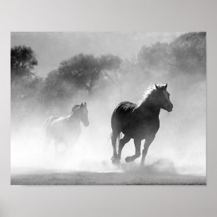 Póster Cavalos que funcionam na névoa preto e branco