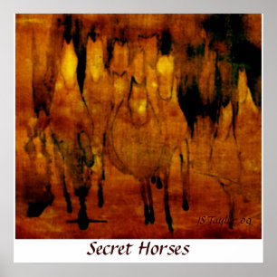 Póster Cavalos secretos