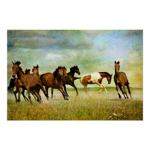 Póster Cavalos Selvagens