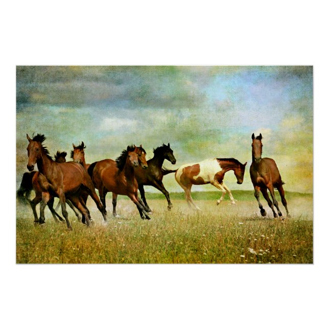 Póster Cavalos Selvagens (Frente)