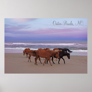 Poster Cavalos Selvagens Bancos Exteriores OBX Corolla NC