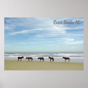 Poster Cavalos Selvagens Bancos Exteriores OBX Corolla NC