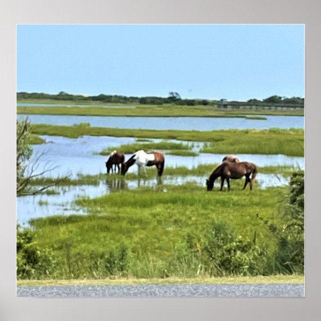 Poster Cavalos Selvagens de Assateado (Frente)