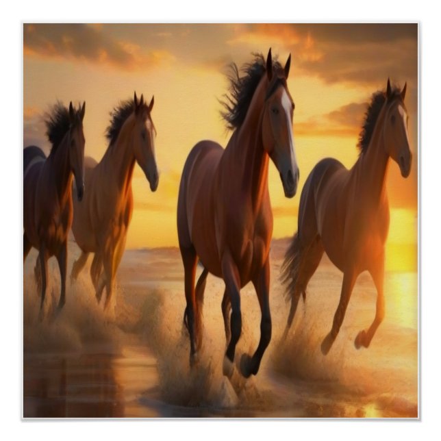 Póster Cavalos Selvagens no Esplendor Sunset (Frente)