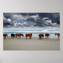 Poster Cavalos Selvagens Outros Bancos Corolla NC