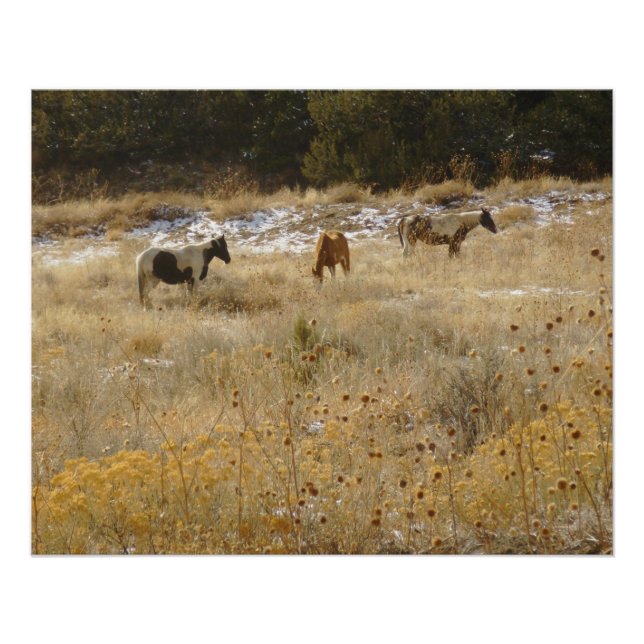 Póster Cavalos selvagens Poster brilhante (Frente)