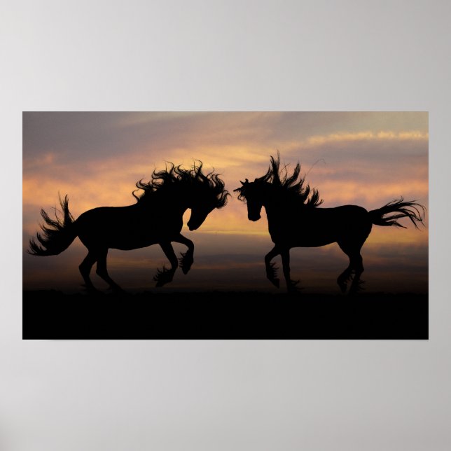 Póster Cavalos selvagens Silhouette (Frente)