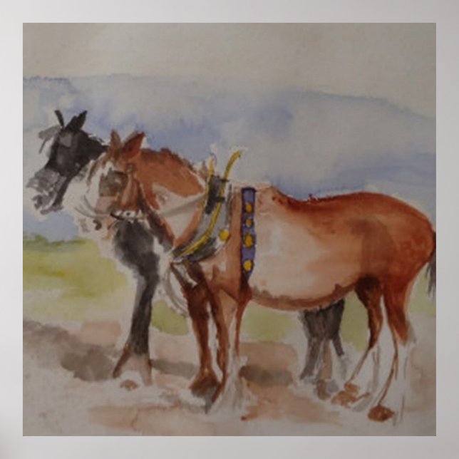 Poster Cavalos Shire em Concurso de Arar Aquarela esboço (Frente)