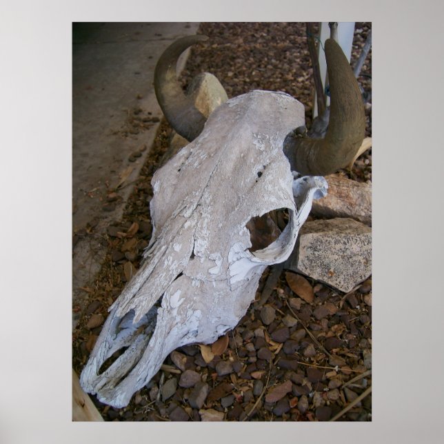 Poster Caveira (Frente)