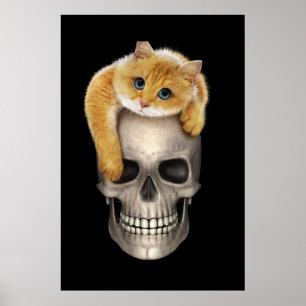 Poster Caveira e Gato