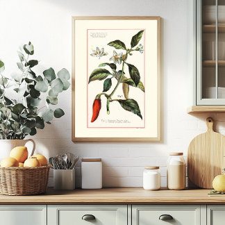 POSTER CAYENNE - ILUSTRAÇÃO BOTÂNICA VINTAGE