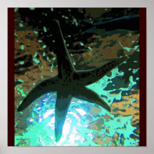 Póster CB da estrela do mar