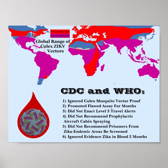 Póster CDC e OMS não protegeram os cidadãos por RoseWrite (Frente)