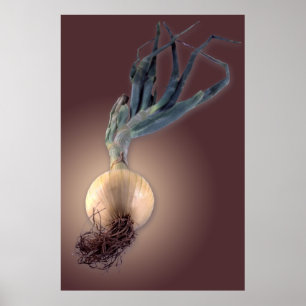 Póster Cebola doce