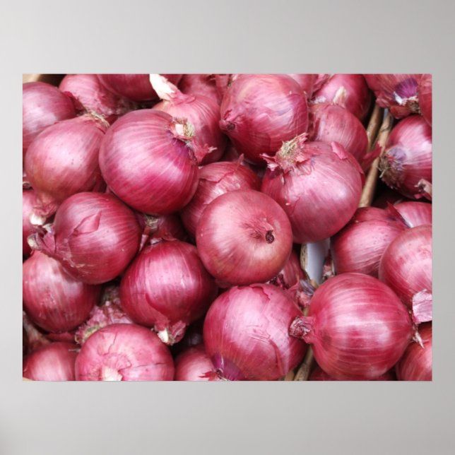 Poster Cebolas vermelhas (Frente)