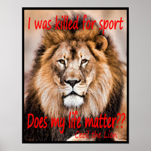 Poster Cecil o leão - eu fui matado para o esporte
