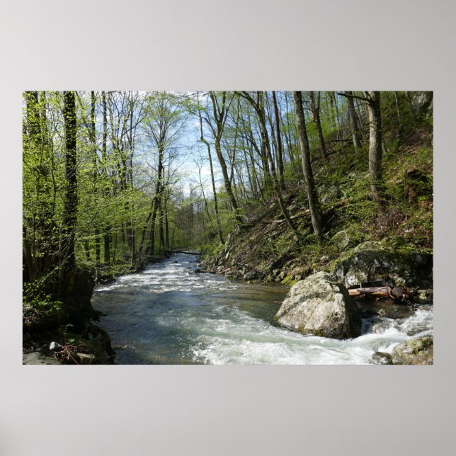 Poster Cedar Run no White Oak Canyon (Frente)