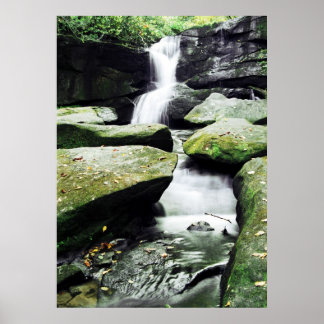 Póster CedarRockFalls_100_026