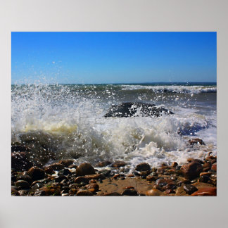 Poster CedarTreeNeck16x20