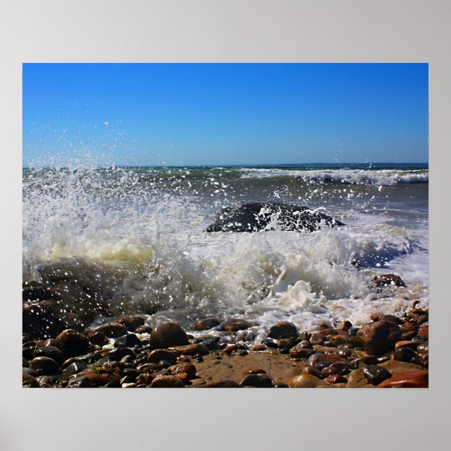 Poster CedarTreeNeck16x20 (Frente)