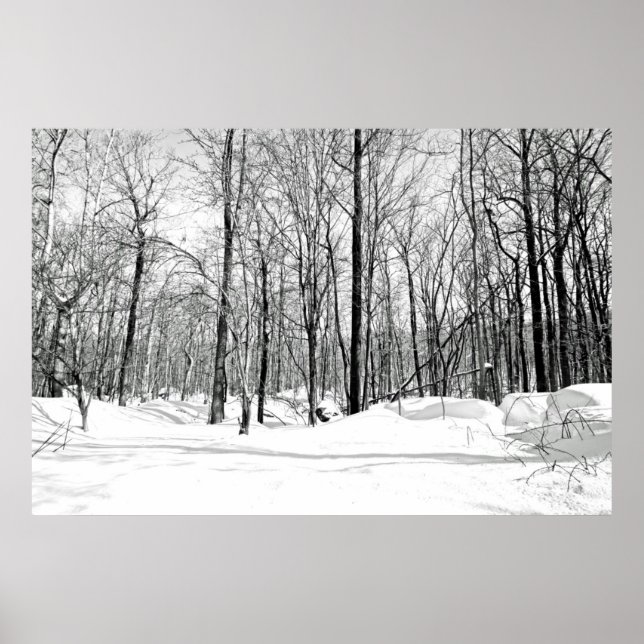 Poster Cegado pela neve (Frente)