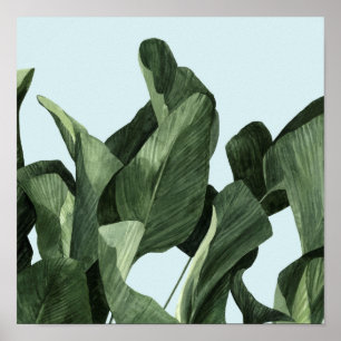 Poster Celadon Palms