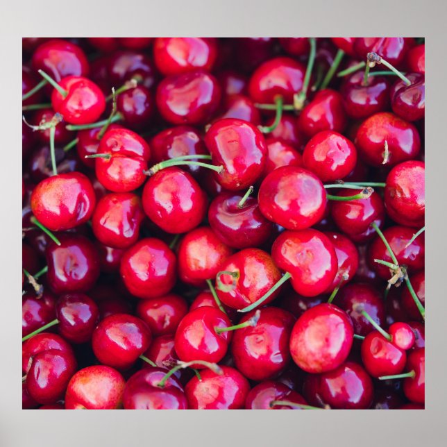 Poster Celebração de Cerejas na Califórnia Orgânica (Frente)