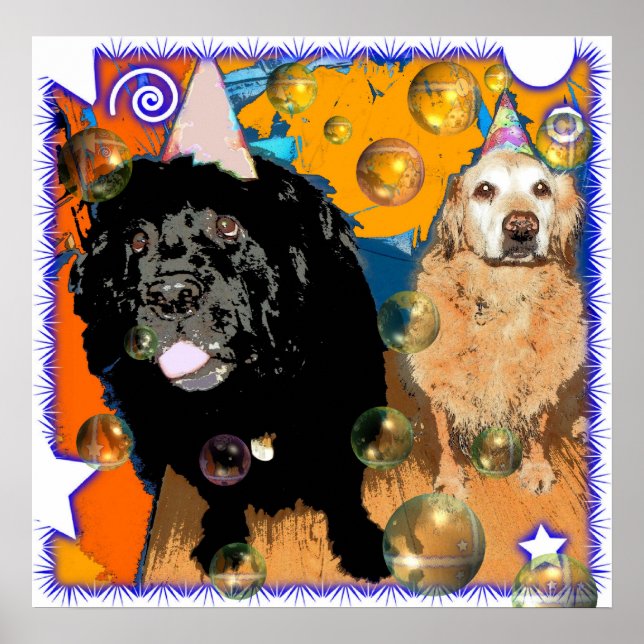 Póster Celebrar! (Frente)