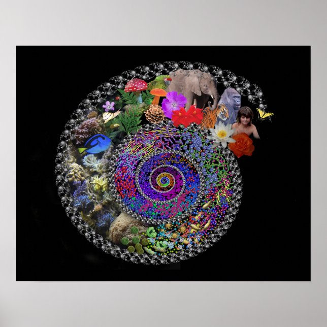 Poster Celebrar a Evolução (Frente)