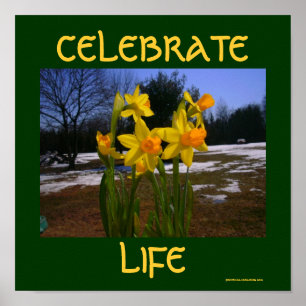 Poster celebrar vida/primavera