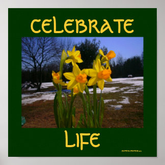 Poster celebrar vida/primavera