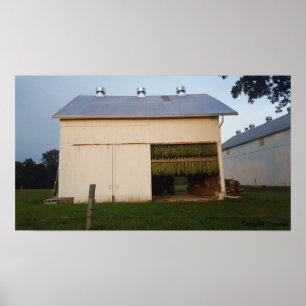 Póster Celeiro/Pensilvânia do tabaco de Amish