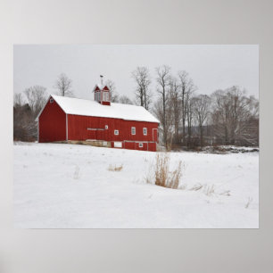 Póster Celeiro vermelho na neve