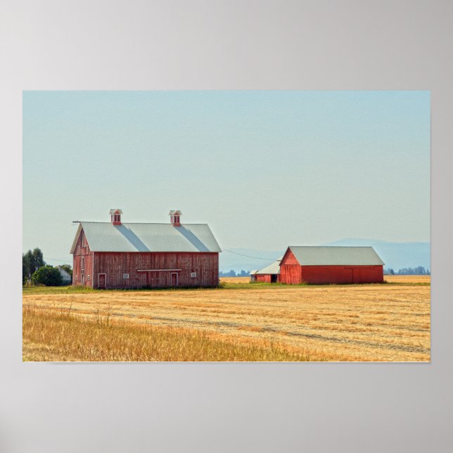 Poster Celeiros Vermelhos de Montana (Frente)