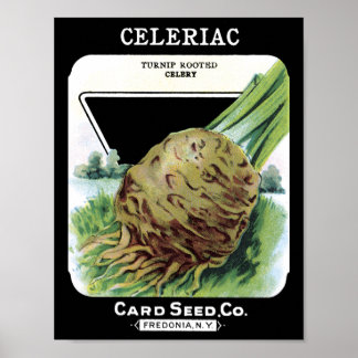 Poster Celeriac Card Seed Co. pacote Fredonia, NY Vintage