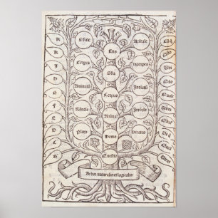 Poster Celestial ladder