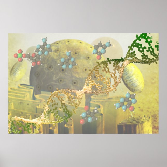 Póster Célula com DNA (Frente)