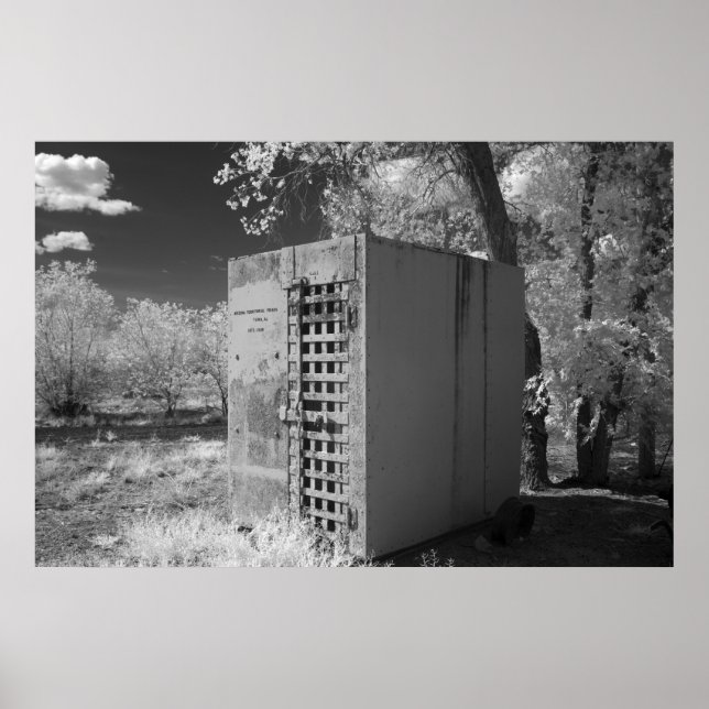 Póster Célula de Cisão Antiga (Frente)