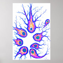 Poster Células da cartilagem Sépia