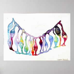 Poster Células estaminais neuronais