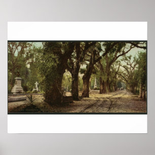 Poster Cemitério de Bonaventure, savana, Geórgia cerca