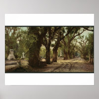 Cemitério de Bonaventure, Savannah, Geórgia, por v