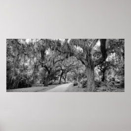 Poster Cemtery, Savannah Ga, MD Photoics