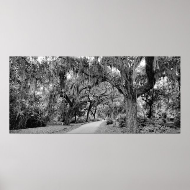 Poster Cemtery, Savannah Ga, MD Photoics (Frente)