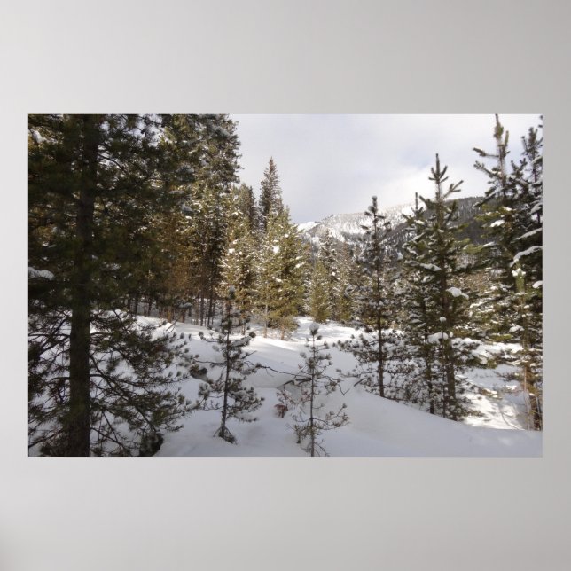 Póster Cena da Montanha Snowy de inverno em Montana (Frente)
