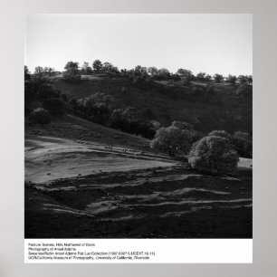 Póster Cena da Pastura por Ansel Adams