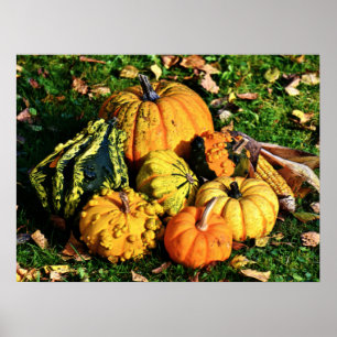 Poster Cena de Ação de Graças com Pumpkins-Corn-Gourds