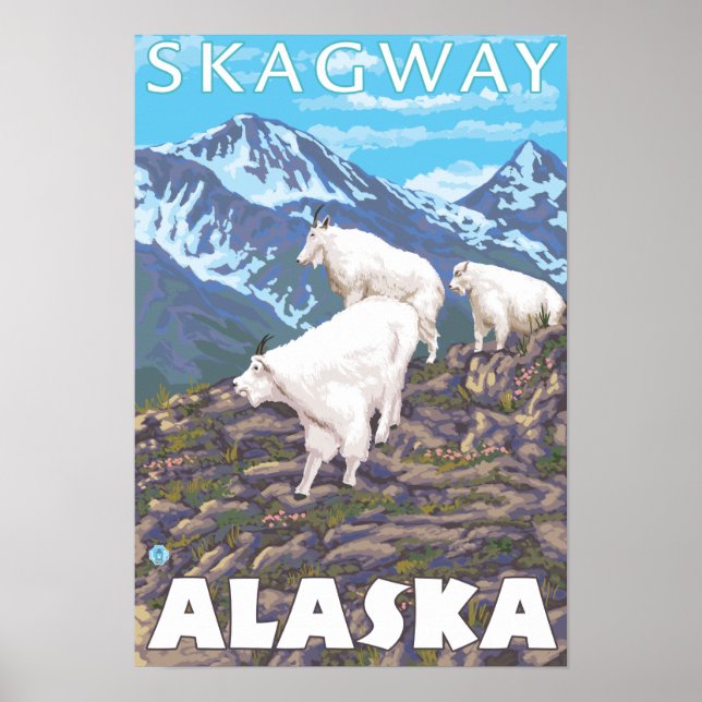 Póster Cena de Caprinos de Montanha - Skagway, Alasca (Frente)