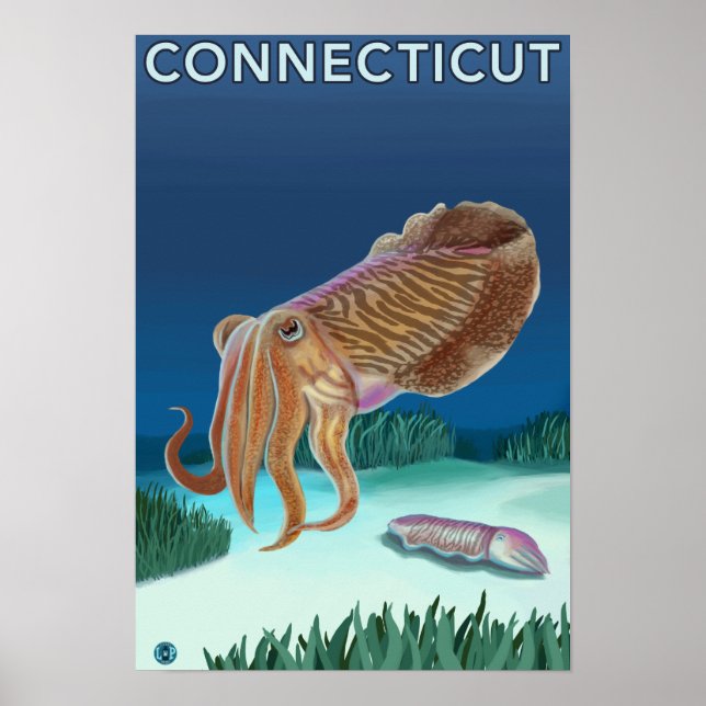 Póster Cena de ConnecticutCuttlefish (Frente)